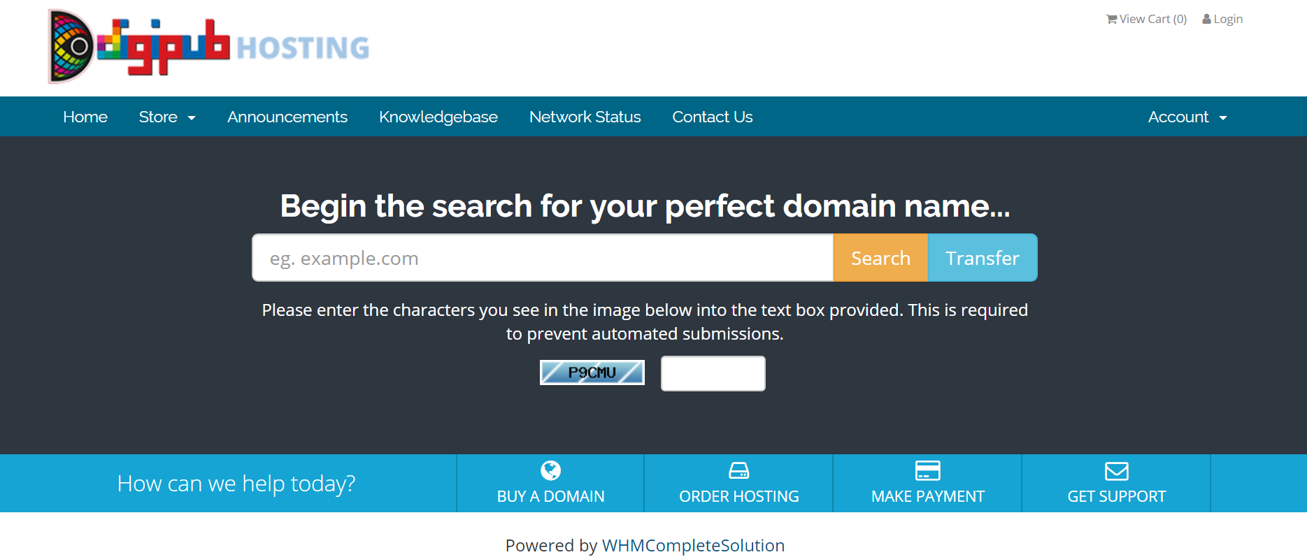 Domain Registering & Web Hosting